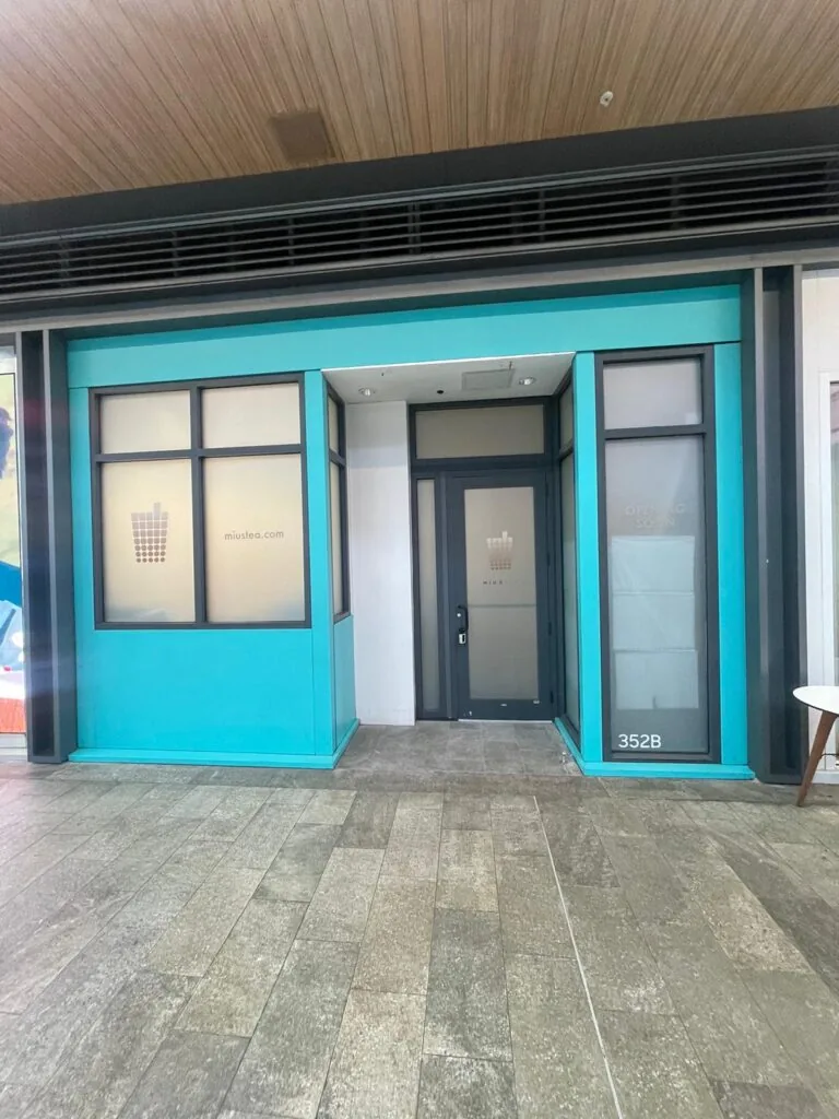 Eletrostatic Painting windows